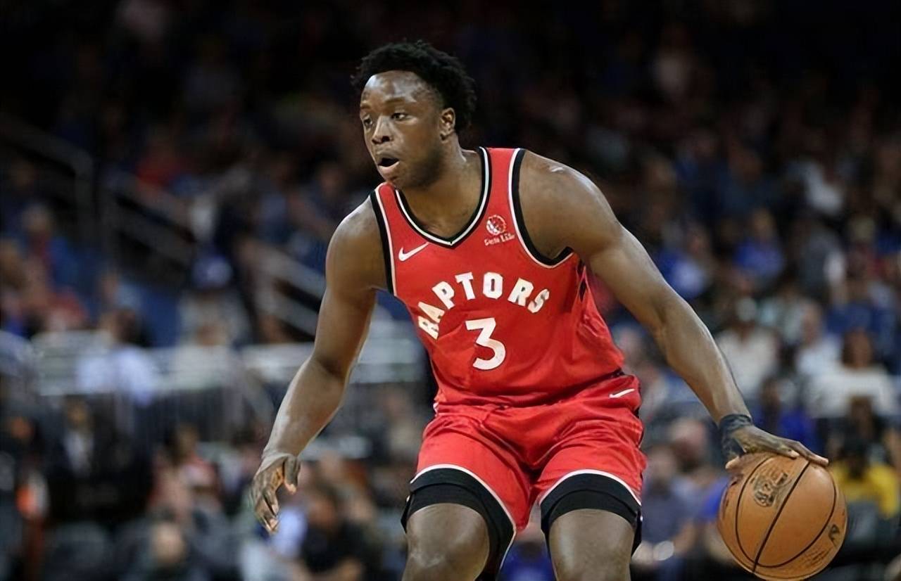  多伦多猛龙队总冠军 